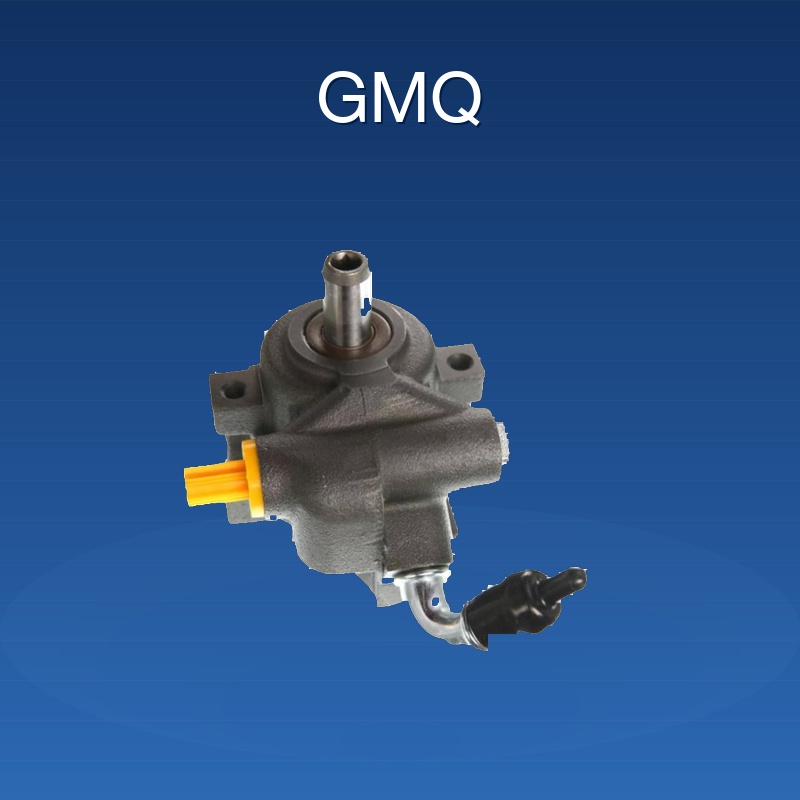 6L2Z3A674AA/Power Steering Pump/Venezuela