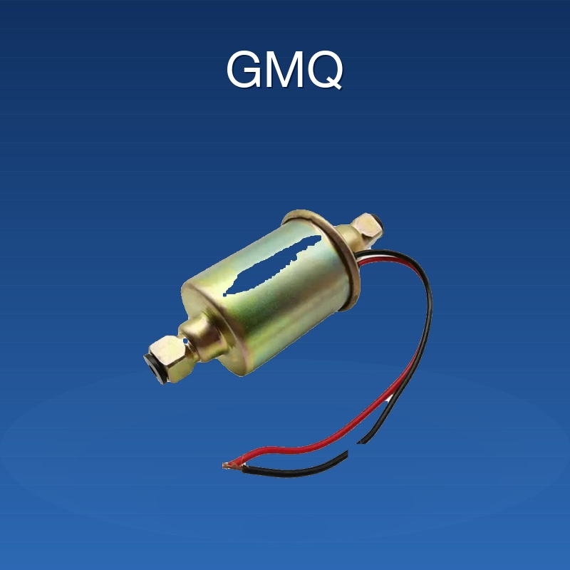 E8012S/Fuel Pump Gasoline Pump With Filter Universal Venezuela Hot Seller/Venezuela