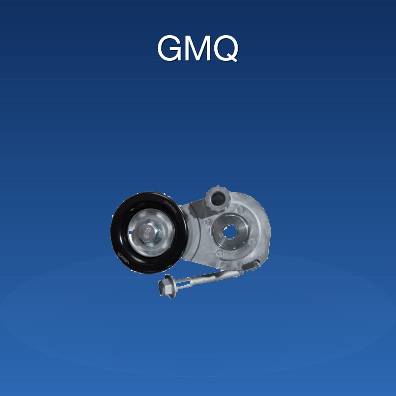 25191534/Belt Tensioner Pulley/Venezuela