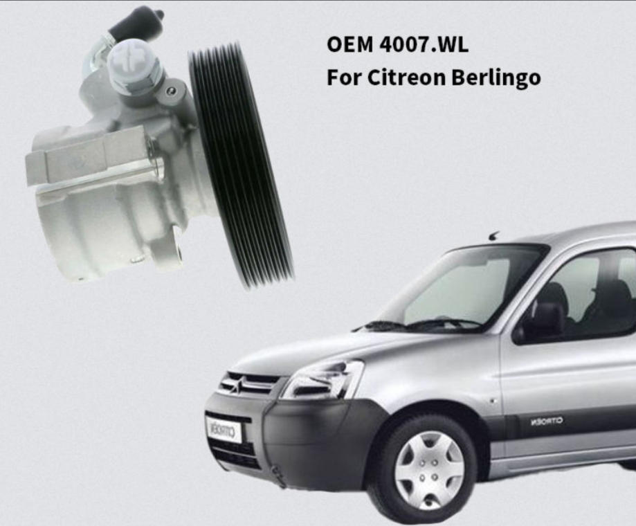 4007WL/Lower Price Power Steering Pump/Venezuela