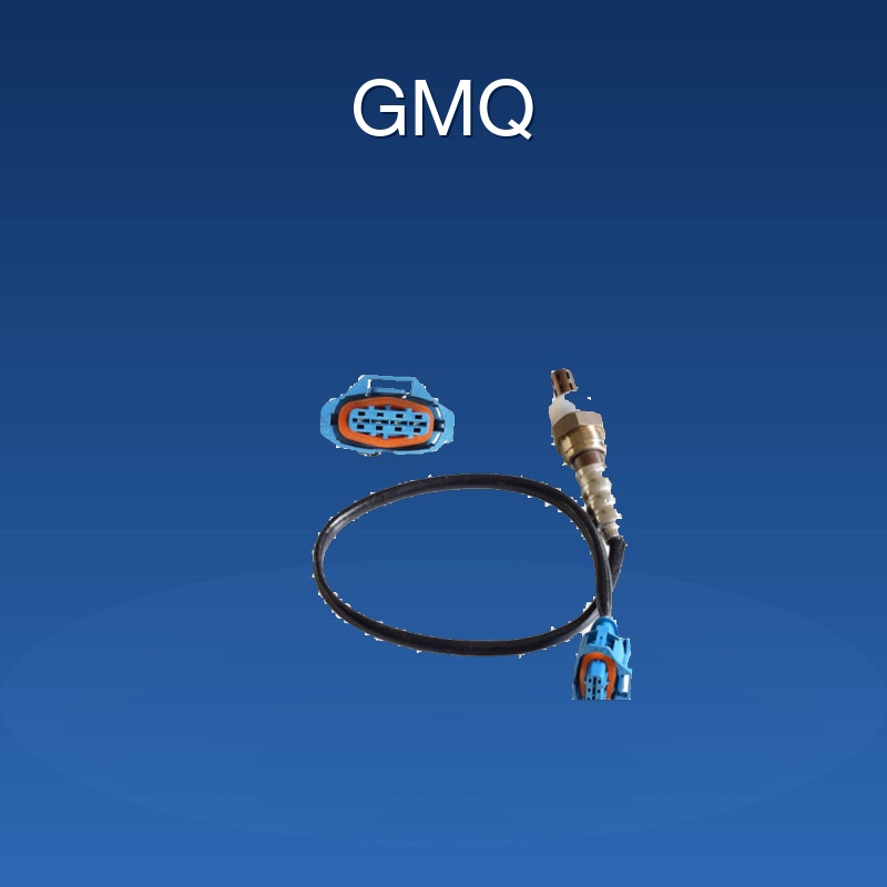 55566648/Oxygen Sensor/Venezuela