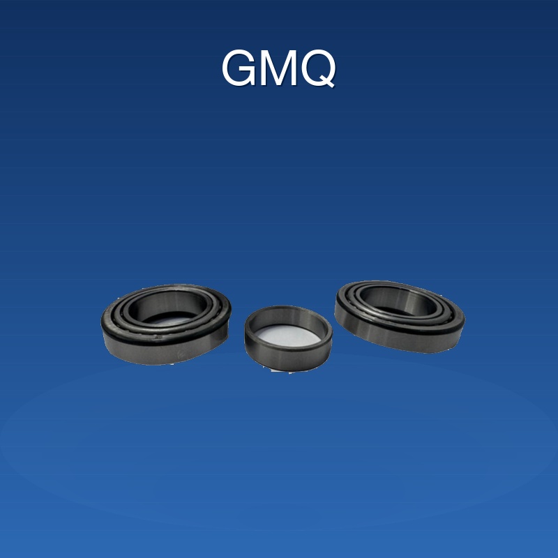 96285525/Bearing Repair Kit/Venezuela