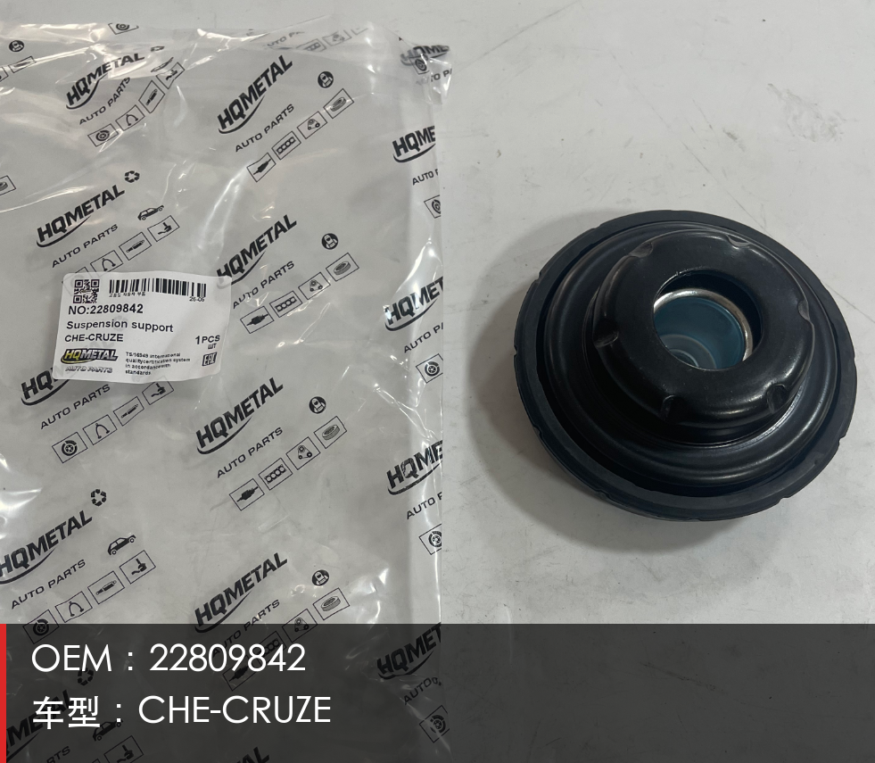 GMQ Strut Mount 22809842