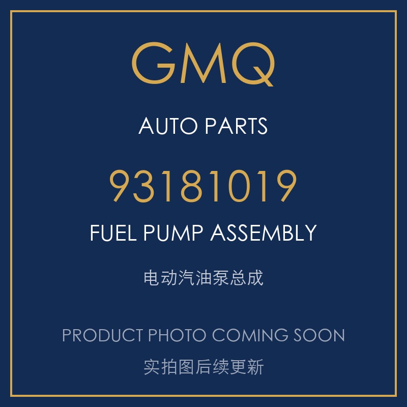 GMQ1758 / GMQ Auto Parts 93181019 Electric Fuel Pump Assembly Fuel Delivery Parts for Opel Astra H