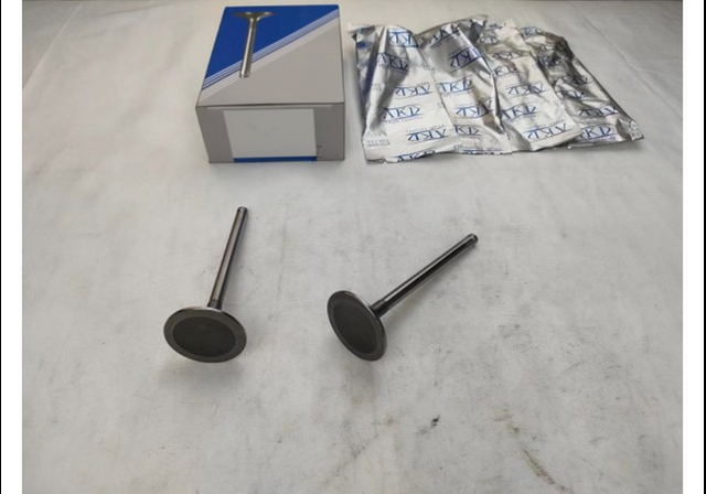GMQ Auto Parts 96182934 7MM Intake Valve Auto Spare Parts for DAEWOO LANOS NEXIA