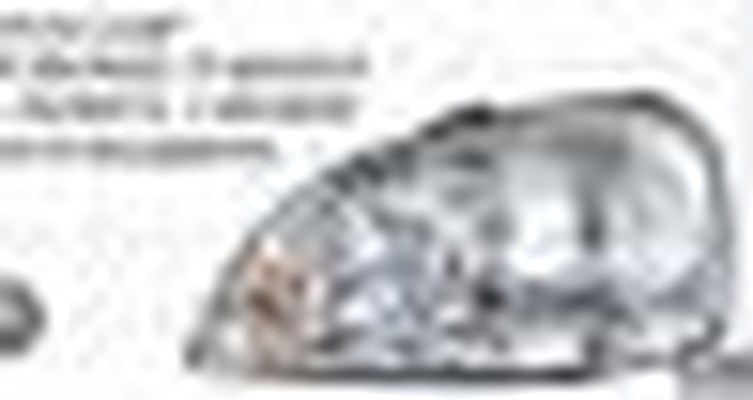 GMQ Auto Parts 96458820 Lamp Auto Spare Parts for Hyundai Kia