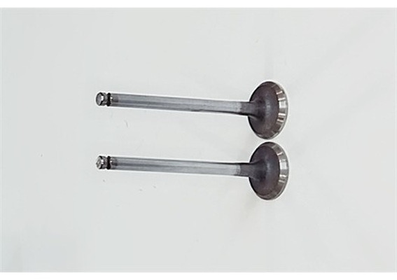 GMQ Auto Parts Exhaust Valve Auto Spare Parts for DAEWOO
