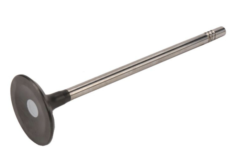 GMQ Auto Parts 12636317 Intake Valve Engine Valve Intake Valve for Chevrolet Equinox 2018-2022
