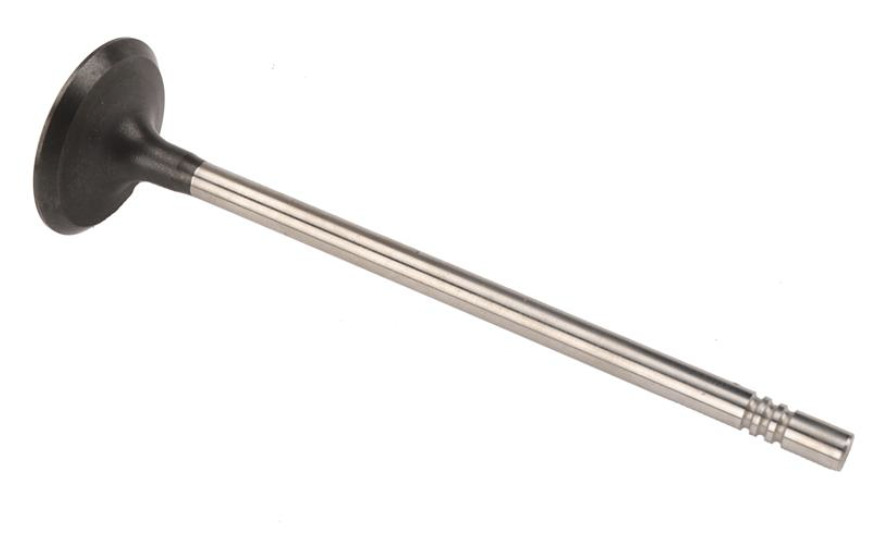 GMQ Auto Parts 12636317 Intake Valve Engine Valve Intake Valve for Chevrolet Equinox 2018-2022